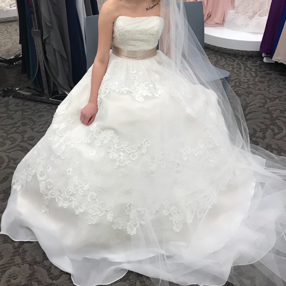 Ivory Ball Gown Wedding Dress
